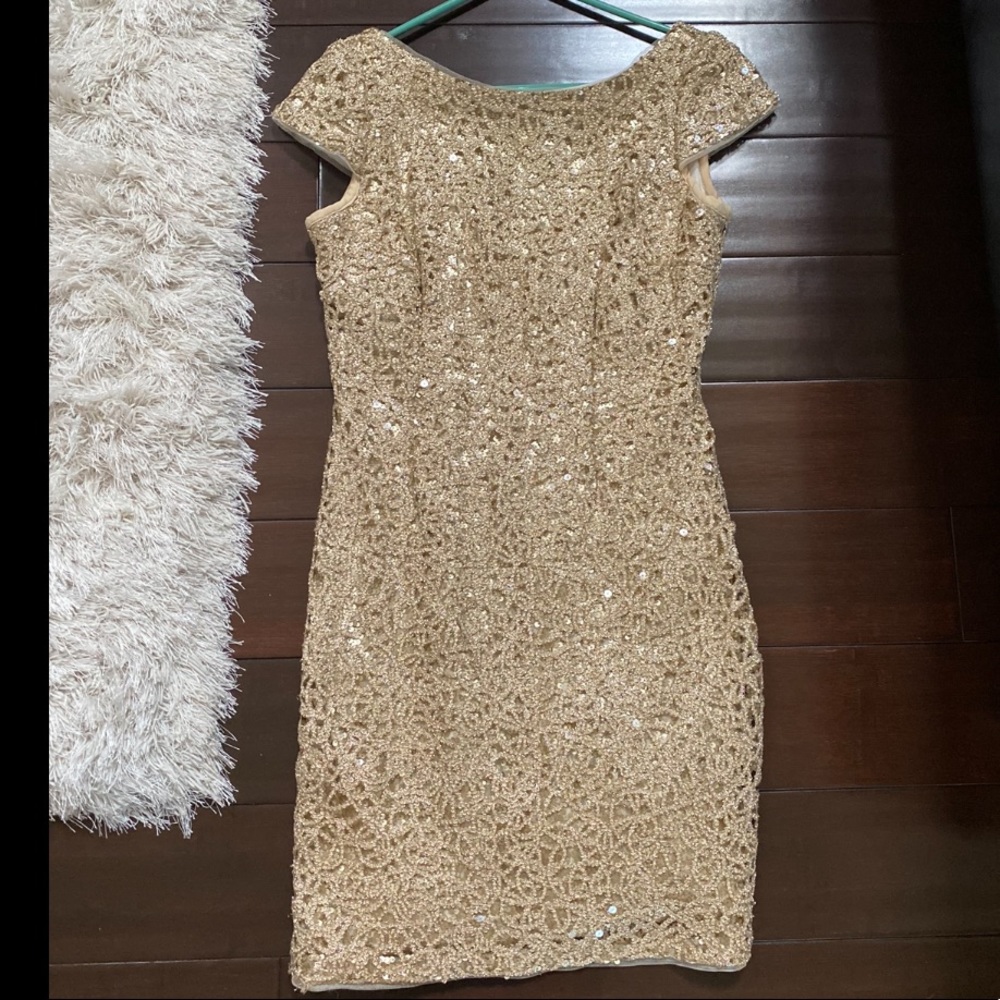 Adriana papell dress